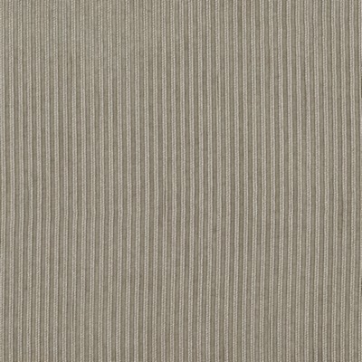 Clarke and Clarke MATTEO CHARCOAL