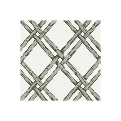 Clarke and Clarke BHUTAN CHARCOAL