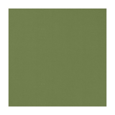 Clarke and Clarke NOVARA APPLE