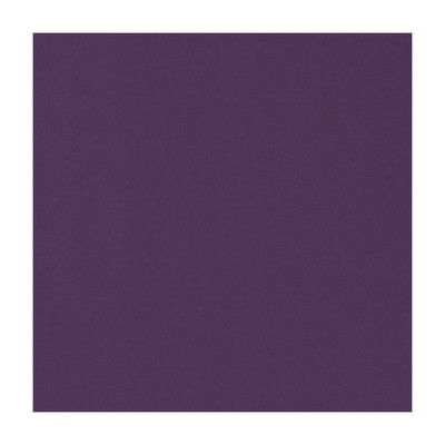 Clarke and Clarke NOVARA BERRY