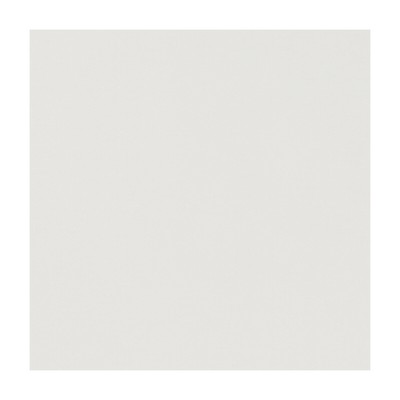 Clarke and Clarke NOVARA BIRCH