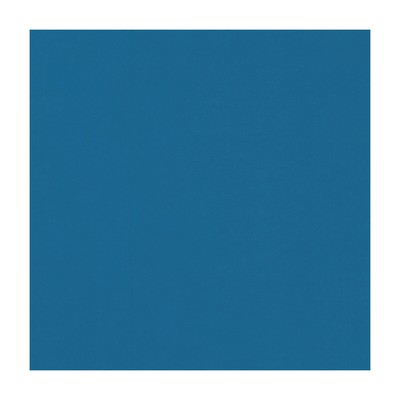 Clarke and Clarke NOVARA BLUEBIRD