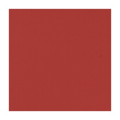 Clarke and Clarke NOVARA FLAME