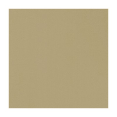 Clarke and Clarke NOVARA FLAXEN