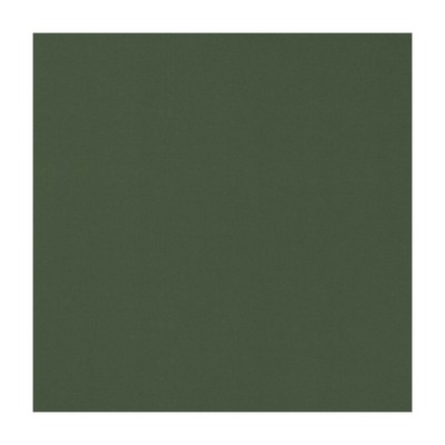 Clarke and Clarke NOVARA FOREST