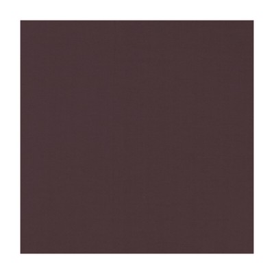 Clarke and Clarke NOVARA GARNET