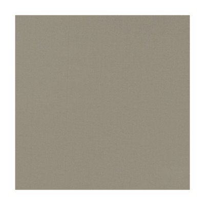 Clarke and Clarke NOVARA LATTE