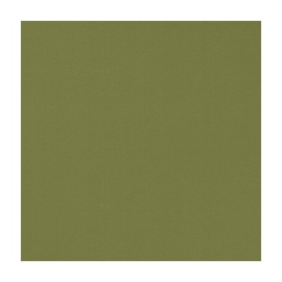 Clarke and Clarke NOVARA LEAF