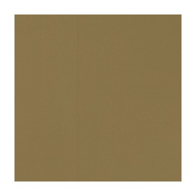 Clarke and Clarke NOVARA NUTMEG