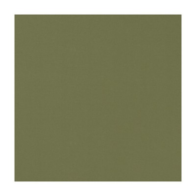 Clarke and Clarke NOVARA OLIVE