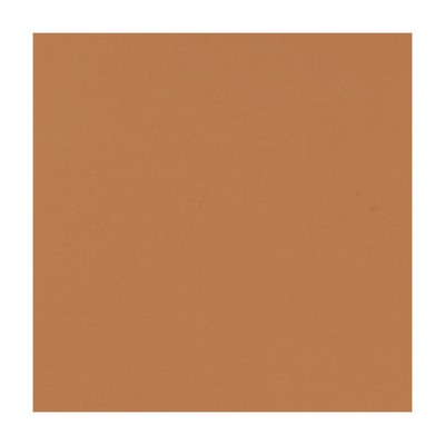 Clarke and Clarke NOVARA PUMPKIN