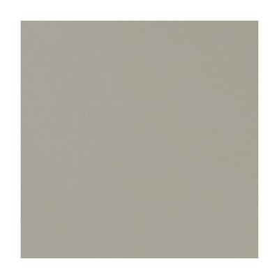 Clarke and Clarke NOVARA PUTTY