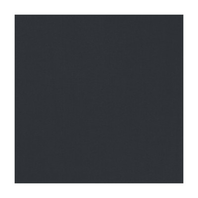 Clarke and Clarke NOVARA RAVEN