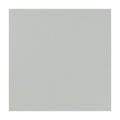 Clarke and Clarke NOVARA SILVER