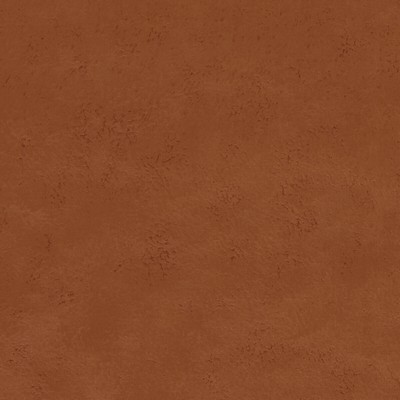 Clarke and Clarke NOLA SPICE