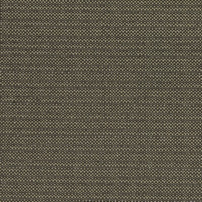 Clarke and Clarke KAUAI CHARCOAL