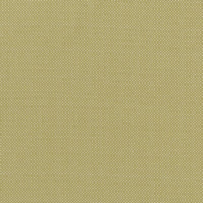 Clarke and Clarke KAUAI CITRON