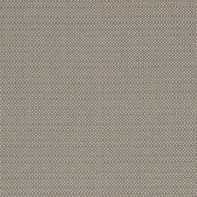 Clarke and Clarke KAUAI MOCHA