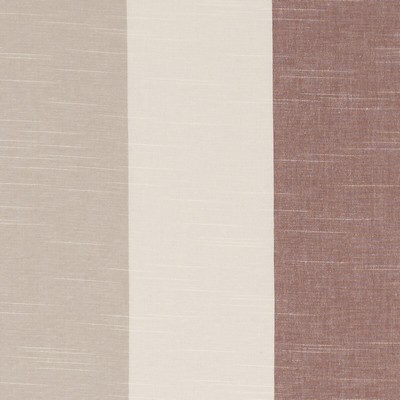 Clarke and Clarke BUCKTON SPICE