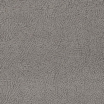 Clarke and Clarke MASON DOVE