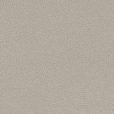 Clarke and Clarke MASON IVORY