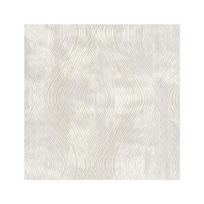 Clarke and Clarke LUSTER IVORY