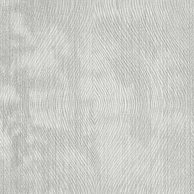 Clarke and Clarke LUSTER SILVER