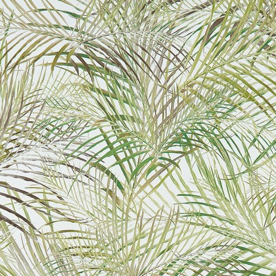 Clarke and Clarke PALMERO FOREST