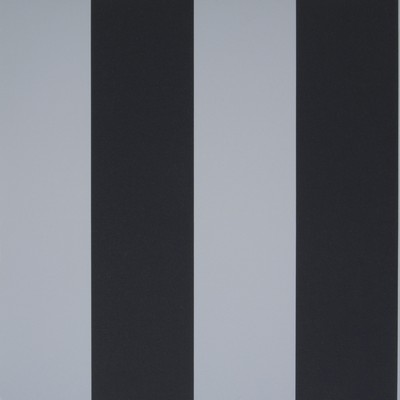 Clarke and Clarke Wallpaper W0005 BLACK/WHITE