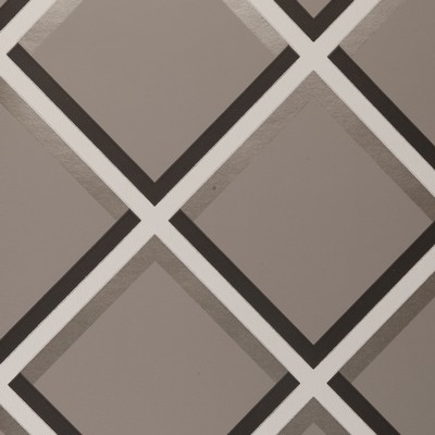 Clarke and Clarke Wallpaper W0018 TAUPE