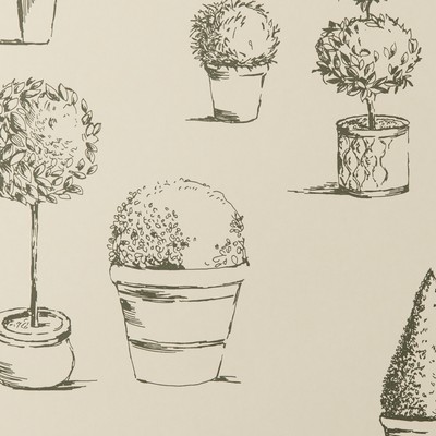 Clarke and Clarke Wallpaper Topiary Wp 1 CHARCOAL