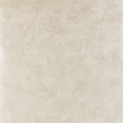 Clarke and Clarke Wallpaper W0035 TAUPE