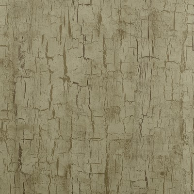 Clarke and Clarke Wallpaper Tree Bark 1 ANTIQUE