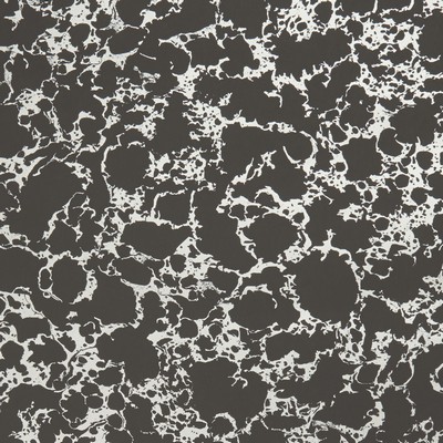 Clarke and Clarke Wallpaper W0096 2-CHARCOAL/GOLD
