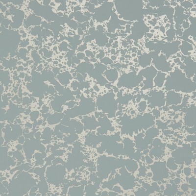 Clarke and Clarke Wallpaper W0096 6-MINERAL/GOLD