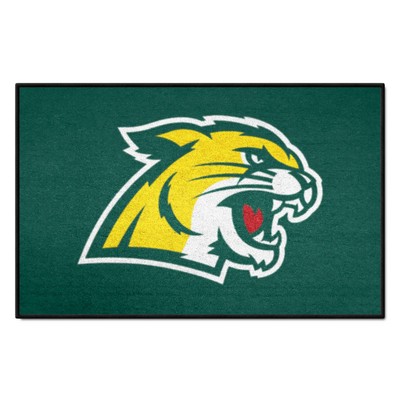 Fan Mats  LLC Northern Michigan Wildcats Starter Mat Green