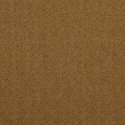 Robert Allen FELINE FEELING PRALINE