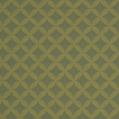 Robert Allen PIN WHEEL ALOE