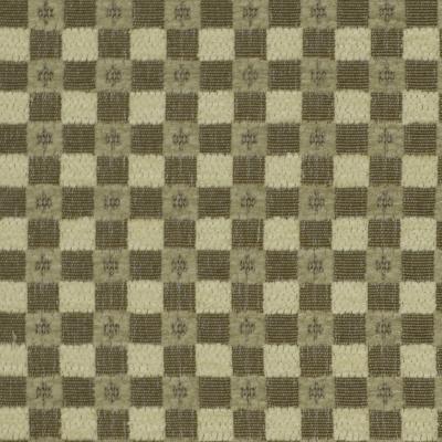 Robert Allen BARKERVILLE FOSSIL