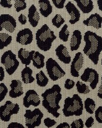 Duralee 1265 14 LICORICE Fabric