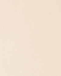Duralee DF16135 88 CHAMPAGNE Fabric
