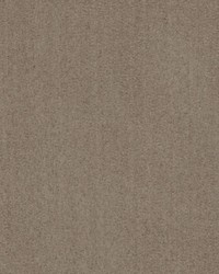 Duralee DF16038 103 CHOCOLATE Fabric