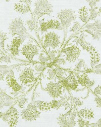 Duralee DE42512 2 GREEN Fabric
