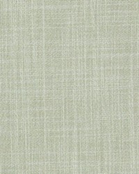 Duralee DD61542 243 HONEY DEW Fabric