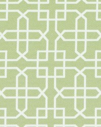 Duralee DI61374 212 APPLE GREEN Fabric