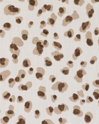 Duralee DP61610 10 BROWN Fabric