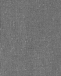 Duralee DD61475 79 CHARCOAL Fabric