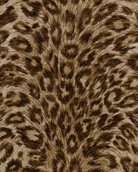 Duralee DP61591 10 BROWN Fabric