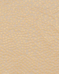 Duralee DD61818 264 GOLDENROD Fabric