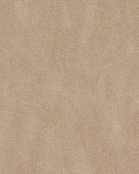 Duralee DF16289 283 CHAMOIS Fabric